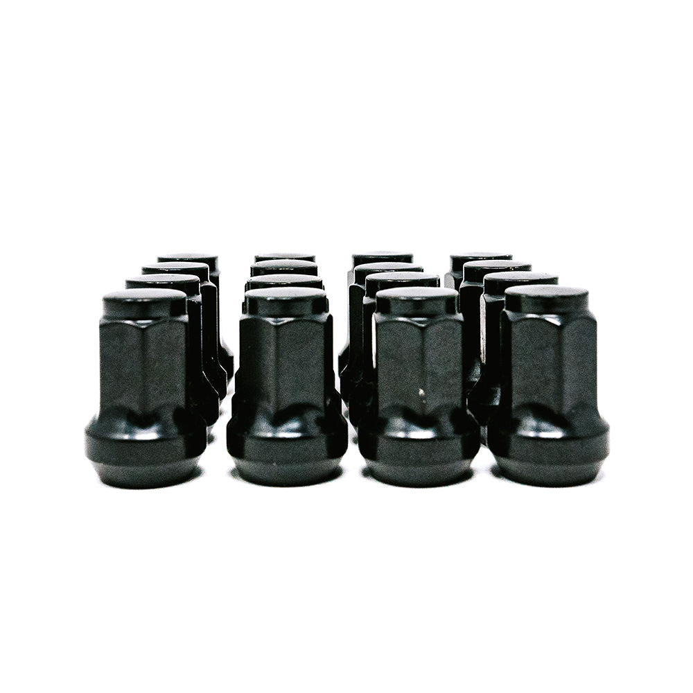 10x1.25 Lug Kit